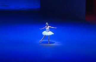 Polina Semionova – Ballet de Zurich – Swan Lake, 2009