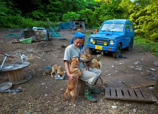 Após tsunami, homem resgata e cuida sozinho de 500 animais abandonados