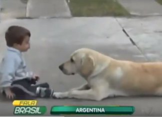 Cachorro faz de tudo para conseguir amizade de garoto com síndrome de Down… e consegue!