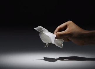 Animais feitos com lenços de papel (incrível)