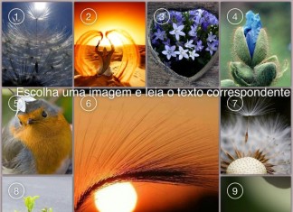 Imagens poéticas: escolha a imagem e leia a mensagem