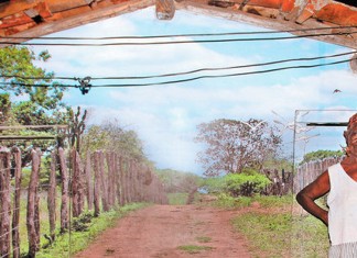 Artista encanta povoado de Feira de Santana pintando casas como se fossem paisagens