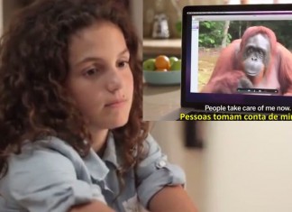 O que este orangotango disse a esta menina é algo que todos devemos ouvir