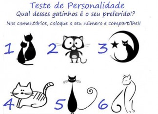 Teste do gato- siga os seus instintos e responda