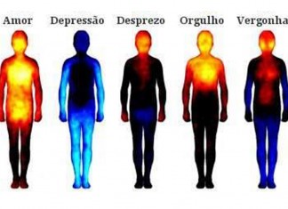 Mapa das emoções relaciona áreas do corpo com emoções distintas