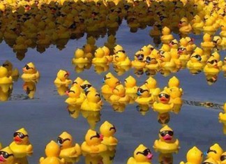 O mistério dos patos de borracha