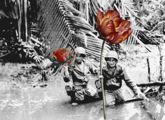 Artista substitui armas por flores em fotos vintage de soldados em tempos de guerra