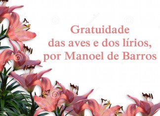 Gratuidade das Aves e dos Lírios, por Manoel de Barros