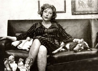 “Uma galinha”, conto de Clarice Lispector