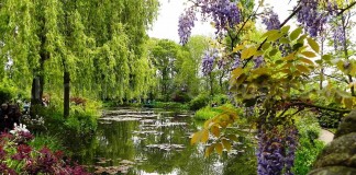 Em algum lugar entre o certo e o errado existe um jardim