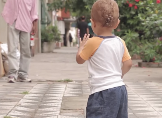 “O tempo é senhor de delicadezas, desafios e novidades constantes”: caminhando com Tim Tim