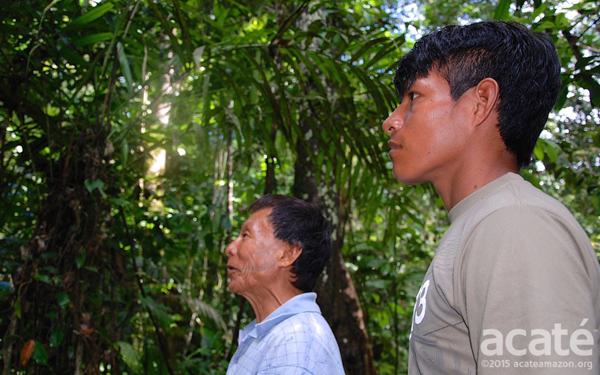 contioutra.com - Tribo amazônica cria enciclopédia de medicina tradicional com 500 páginas