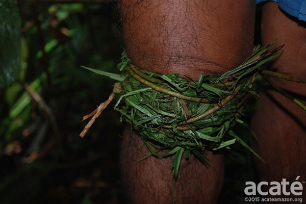 contioutra.com - Tribo amazônica cria enciclopédia de medicina tradicional com 500 páginas