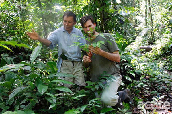 contioutra.com - Tribo amazônica cria enciclopédia de medicina tradicional com 500 páginas