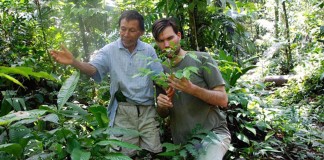 Tribo amazônica cria enciclopédia de medicina tradicional com 500 páginas