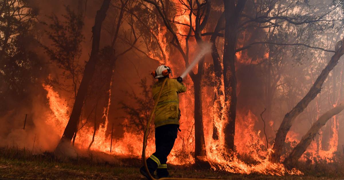 contioutra.com - As icônicas velas da Ópera de Sydney se acenderam com imagens dos incêndios florestais