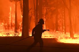 contioutra.com - As icônicas velas da Ópera de Sydney se acenderam com imagens dos incêndios florestais