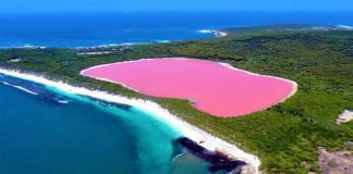 Conheça o fenômeno que deixa esse lago na Austrália cor de rosa