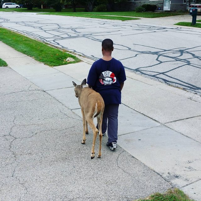 contioutra.com - Todos os dias antes da escola, garotinho ajudava cervo cego a encontrar comida