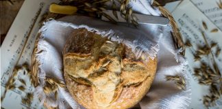 PÃO CASEIRO PARA INICIANTES: receita indicada para quem nunca fez pão