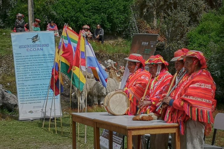 contioutra.com - Com mais de 3 milhões de árvores, comunidades indígenas estão reflorestando os Andes.