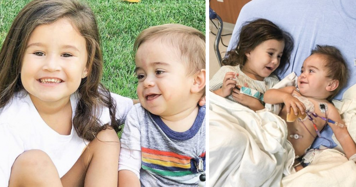 Garotinha de 4 anos salvou seu irmão mais novo doando sua medula óssea. Era a única que poderia ajudá-lo!
