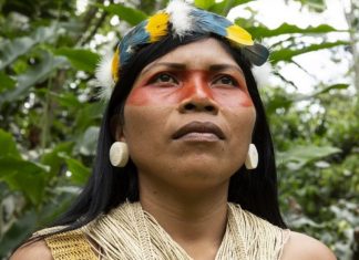 Mulher indígena ganha prêmio ambiental em defesa da floresta amazônica equatoriana. Uma líder nata!