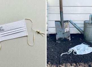 Empresa cria máscara “plantável” com sementes de flores para ajudar as abelhas.