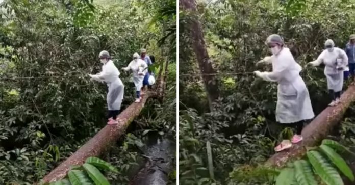 Enfermeira se equilibra em tronco de árvore para vacinar comunidade no Amapá; assista