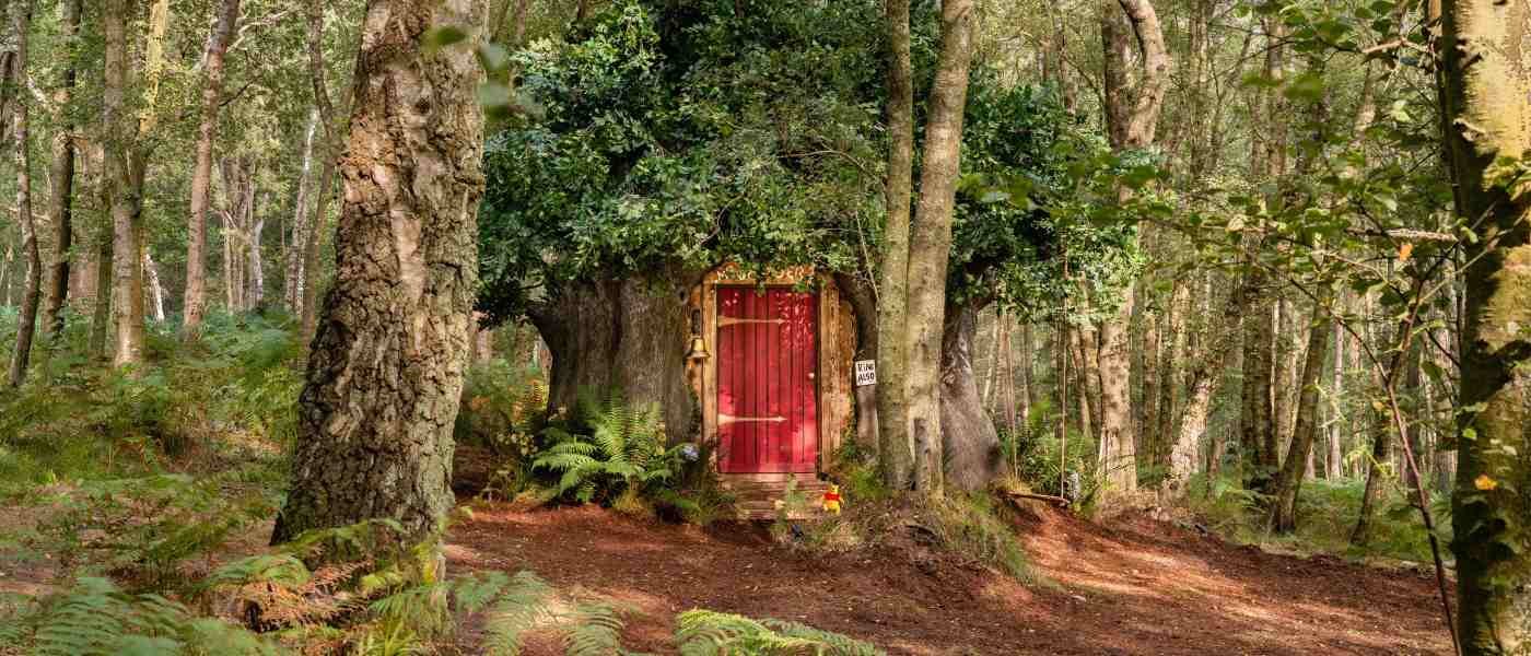 contioutra.com - Casa na árvore inspirada na moradia do Ursinho Pooh está disponível pelo Aibnb