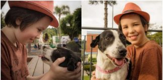 Menino de 11 anos dá banho e vacina cães de rua para ajudá-los a encontrar um lar