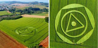 Agroglifo surge misteriosamente em plantação de trigo em SC