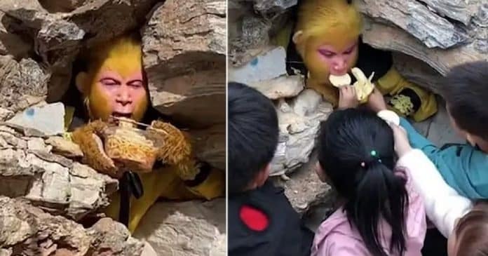 Chineses recebem salário de R$ 6,8 mil para se vestir de macaco e ser alimentados por turistas