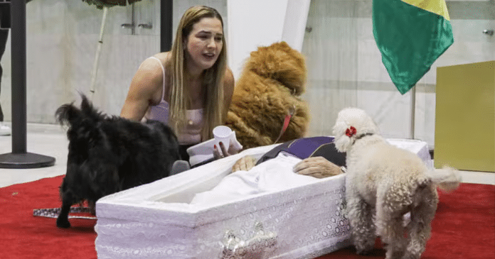 Caixão de Nahim é colocado no chão para despedida dos cachorros durante velório