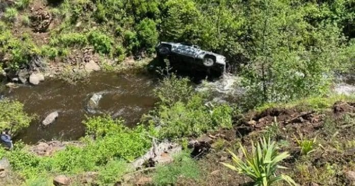 Carro cai em ribanceira e motorista é salvo após um dos seus cães partir para pedir ajuda