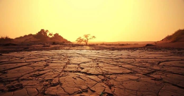 Estudo da Nasa revela que Brasil pode se tornar ‘inabitável’ em 50 anos; entenda