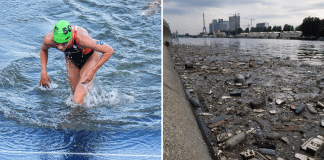 Atleta belga do triatlo é internada após nadar no Rio Sena; equipe desiste de competição