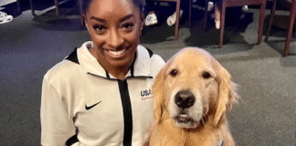 Beacon: O cão terapêutico que ajuda Simone Biles e outras atletas dos EUA