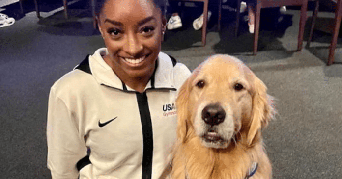 Beacon: O cão terapêutico que ajuda Simone Biles e outras atletas dos EUA