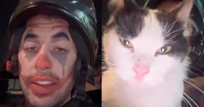 Motoboy aceita gato como pagamento de entrega e viraliza nas redes sociais